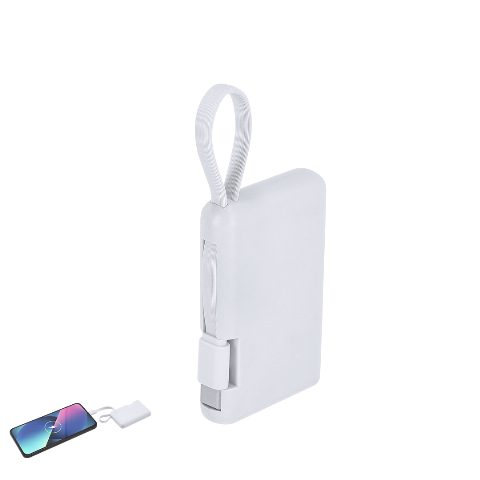 Power Bank - Brandin