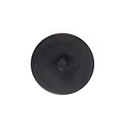 T-31
